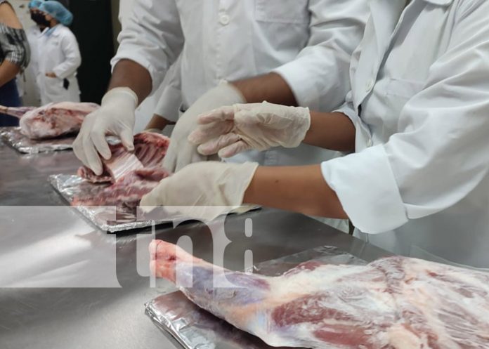 Foto: Escuela especializada en la Universidad Agraria para el corte y manejo de carnes en Nicaragua / TN8