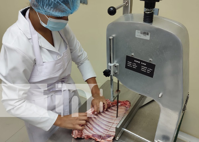 Foto: Escuela especializada en la Universidad Agraria para el corte y manejo de carnes en Nicaragua / TN8