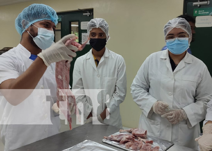 Foto: Escuela especializada en la Universidad Agraria para el corte y manejo de carnes en Nicaragua / TN8