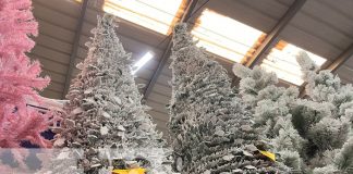 Foto: Productos de Navidad desde el Mercado Oriental / TN8