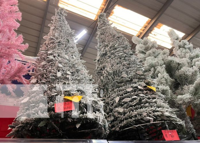 Foto: Productos de Navidad desde el Mercado Oriental / TN8 Foto: Productos de Navidad desde el Mercado Oriental / TN8