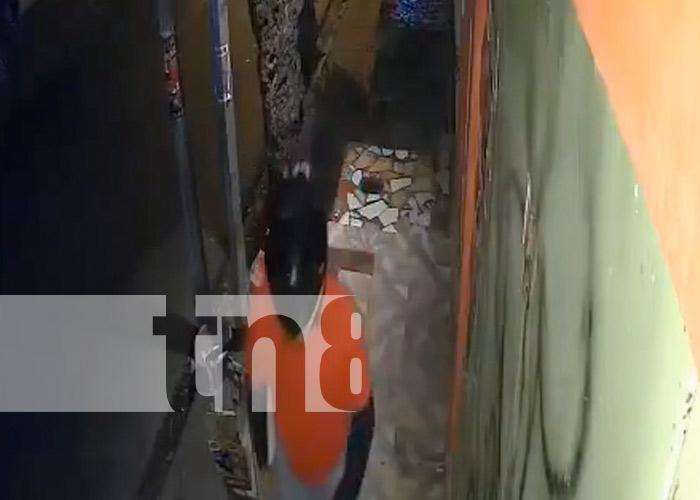 Foto: Sujeto desbarata cámaras de seguridad de una vivienda en el barrio Santa Rosa, Managua / TN8