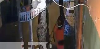 Foto: Sujeto desbarata cámaras de seguridad de una vivienda en el barrio Santa Rosa, Managua / TN8