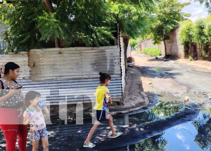 Foto: Investigación en Mateare tras hallazgo de un feto /TN8