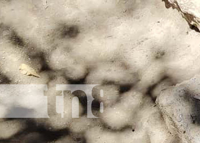 Foto: Investigación en Mateare tras hallazgo de un feto /TN8