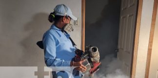 Foto: Fumigación y abatización por Managua / TN8