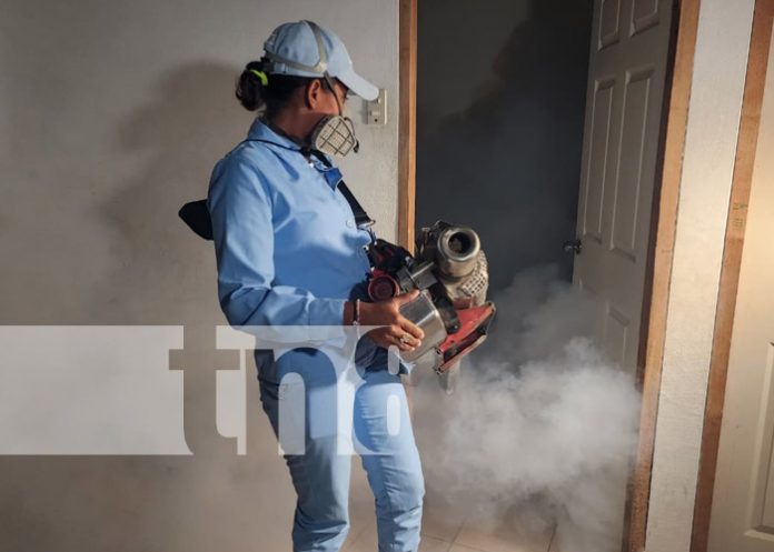 Foto: Fumigación y abatización por Managua / TN8 Foto: Fumigación y abatización por Managua / TN8