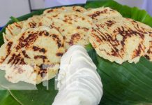 El maíz, protagonista del Festival Gastronómico en el Centro Tecnológico de Granada Foto: Festival Sabores de mi Tierra desde Granada / TN8
