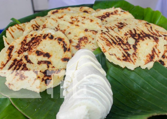 Foto: Festival Sabores de mi Tierra desde Granada / TN8 Foto: Festival Sabores de mi Tierra desde Granada / TN8