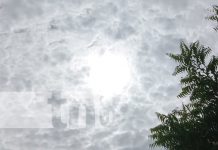 Septiembre se llena de agua: Nicaragua entra en sus meses más lluviosos Foto: Pronóstico de lluvias para esta semana en Nicaragua / TN8