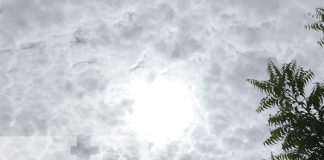 Foto: Pronóstico de lluvias para esta semana en Nicaragua / TN8