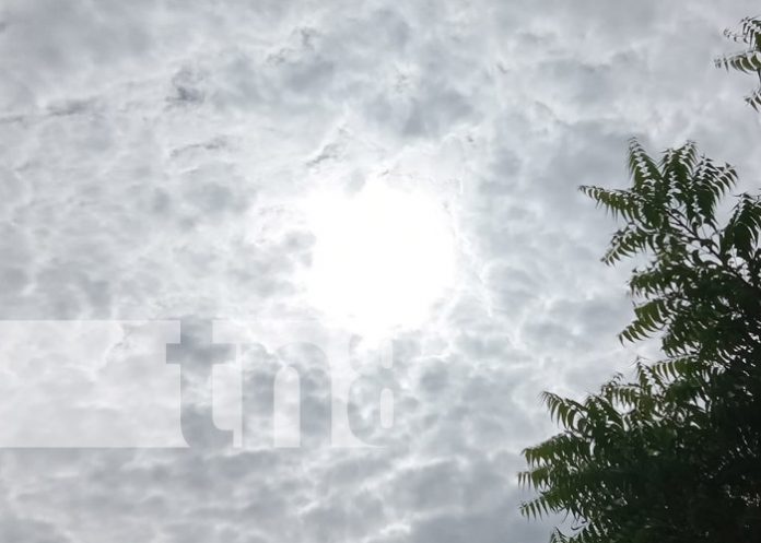 Foto: Pronóstico de lluvias para esta semana en Nicaragua / TN8 Foto: Pronóstico de lluvias para esta semana en Nicaragua / TN8