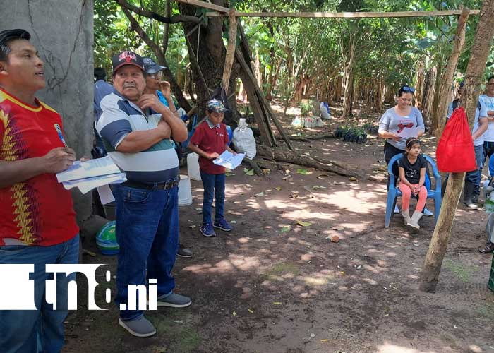 Foto: Técnicas de injertación en la Isla de Ometepe / TN8