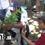 Capacitación sobre injertos fortalece la agricultura en la Isla de Ometepe Foto: Técnicas de injertación en la Isla de Ometepe / TN8