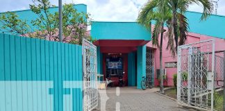 Foto: Pequeño de 10 años fallece en Ometepe tras ser impactado por un árbol /TN8