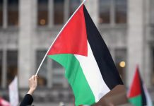 Foto: Bélgica reconocerá al Estado palestino en la Asamblea General de la ONU /Cortesía