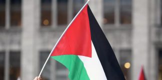 Foto: Bélgica reconocerá al Estado palestino en la Asamblea General de la ONU /Cortesía