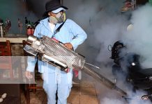 Foto: Brigadas de salud visitan más de mil casas en El Riguero /TN8
