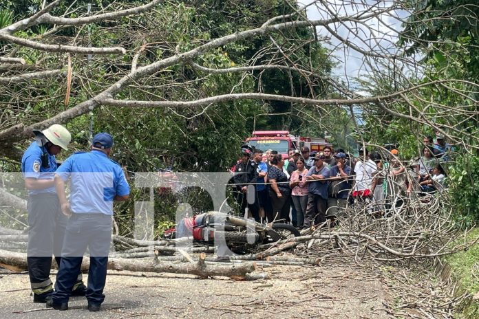 Foto: Impactante suceso en Nandasmo /TN8 Foto: Impactante suceso en Nandasmo /TN8