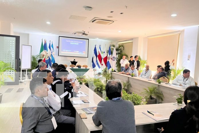 Foto: Nicaragua asegura calidad en exportaciones /TN8