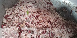 Foto: ¿El gallopinto más famoso se sirve en el Oriental? /TN8