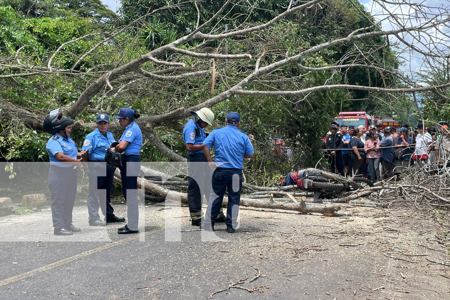 Foto: Impactante suceso en Nandasmo /TN8