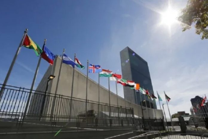 Foto: Amigos de la Carta de la ONU rechazan injerencismo de EE.UU /Cortesía Foto: Amigos de la Carta de la ONU rechazan injerencismo de EE.UU /Cortesía