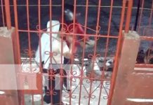 Foto: Robo armado a una señora y sus hijas en Monseñor Lezcano, Managua / TN8