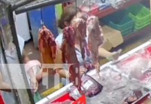 Señora se da color por robarse un tasajo de carne en un mercado de Managua (VIDEO) Foto: Robo de carne en un mercado de Managua / TN8