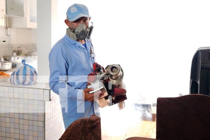Foto: Barrio San Sebastián se une a la lucha contra las enfermedades /TN8