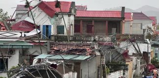 Foto: Tifón Bualoi deja 19 muertos en Vietnam /Cortesía