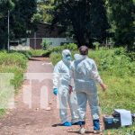 Hallan en Granada cuerpo de hombre que murió al caer de una palmera de 30 metros