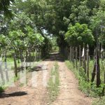 INTUR promueve encuentro departamental sobre agroturismo en Nandaime Foto: Agroturismo en Nandaime / TN8