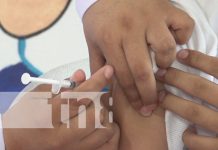 Foto: Vacunación contra el VPH a niños en Nicaragua / TN8