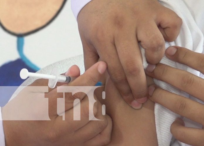 Foto: Vacunación contra el VPH a niños en Nicaragua / TN8 Foto: Vacunación contra el VPH a niños en Nicaragua / TN8