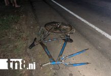 Carpintero de 78 años pierde la vida tras ser embestido por camioneta en Nindirí Foto: Accidente de tránsito en Nindirí deja un fallecido /TN8