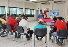 Abonos Orgánicos Incrementan en un 25% la Producción de Plátano en Nicaragua Foto: El uso de abonos orgánicos mejora la fertilidad del suelo en Nicaragua/Cortesía