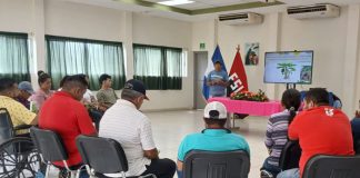Foto: El uso de abonos orgánicos mejora la fertilidad del suelo en Nicaragua/Cortesía
