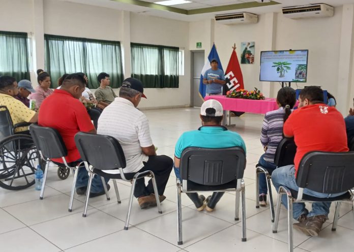Foto: El uso de abonos orgánicos mejora la fertilidad del suelo en Nicaragua/Cortesía Foto: El uso de abonos orgánicos mejora la fertilidad del suelo en Nicaragua/Cortesía