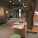 Ladrones se llevan más de 1.000 reliquias del Museo de Oakland en EE. UU. Foto: Ladrones se llevan más de 1.000 reliquias del Museo de Oakland en EE. UU. / Cortesía