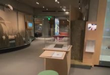 Ladrones se llevan más de 1.000 reliquias del Museo de Oakland en EE. UU. Foto: Ladrones se llevan más de 1.000 reliquias del Museo de Oakland en EE. UU. / Cortesía