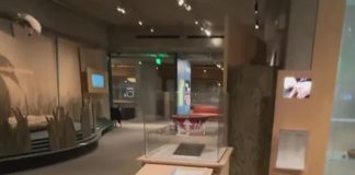 Foto: Ladrones se llevan más de 1.000 reliquias del Museo de Oakland en EE. UU. / Cortesía