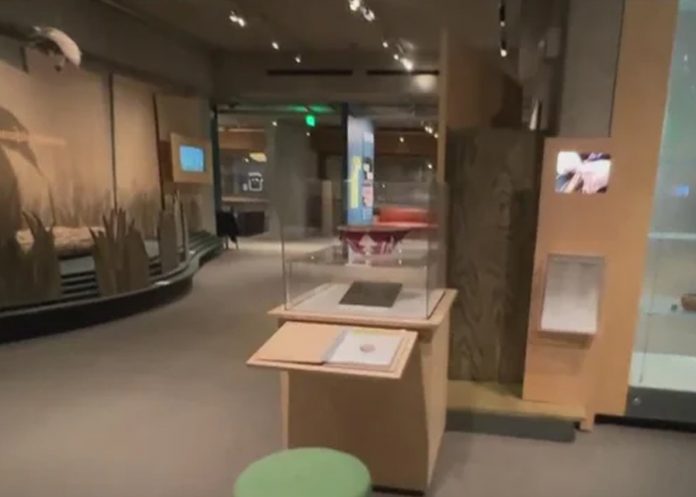 1 Foto: Ladrones se llevan más de 1.000 reliquias del Museo de Oakland en EE. UU. / Cortesía