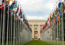 ALBA aplaude y respalda votación en la ONU contra el bloqueo en Cuba Foto: ALBA aplaude y respalda votación en la ONU contra el bloqueo en Cuba / Cortesía