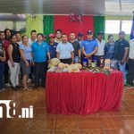 Foto: Cosecha cafetalera 2025 en Isla de Ometepe /cortesía