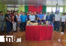 La Isla de Ometepe celebra el lanzamiento de la cosecha cafetalera 2025 Foto: Cosecha cafetalera 2025 en Isla de Ometepe /cortesía