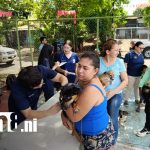 Jóvenes veterinarios de la UCC salvan mascotas en festival «Mi Mascota, Mi Amigo» Foto: Jóvenes veterinarios de la UCC atienden a mascotas / TN8