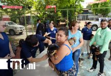 Foto: Jóvenes veterinarios de la UCC atienden a mascotas / TN8