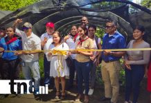 Costa Caribe Norte impulsa desarrollo sostenible con nuevas obras comunitarias Foto: Iniciativas que transforman el Caribe Norte /TN8
