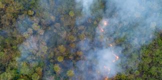 Foto: Venezuela acusa al “capitalismo depredador” de desencadenar la crisis climática global / Cortesía